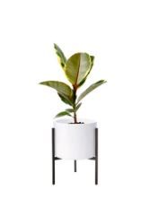 Photo 1 of D'vine Dev Fiberglass Clay Planter Pot Medium Plant Pot With Stand Set