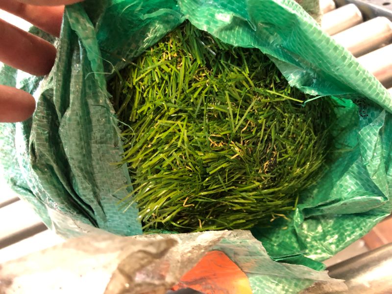 Photo 1 of ALTRUISTIC Premium Artificial Grasss Drainage Holes & Rubber Backing 70 oz Realistic Synthetic Grass Mat Extra-Heavy & Soft Pet Turf Fake Grass for Dogs or Outdoor Decor, 7ft x 13ft 