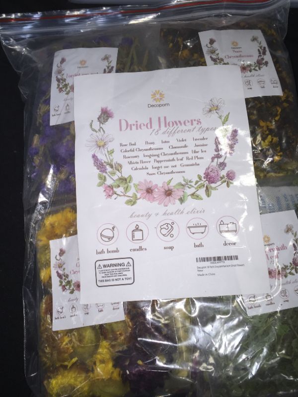 Photo 1 of Decopom 18 Pack Chrysanthemum Dried Flowers
