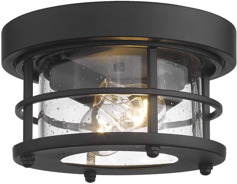 Photo 1 of Emliviar 2-Light Round Ceiling Light Fixture, Farmhouse Flush Mount Ceiling Light 10 Inch, Black Finish, WE2085F BK
