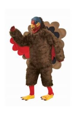 Photo 1 of DLX PLUSH TURKEY COSTUME
