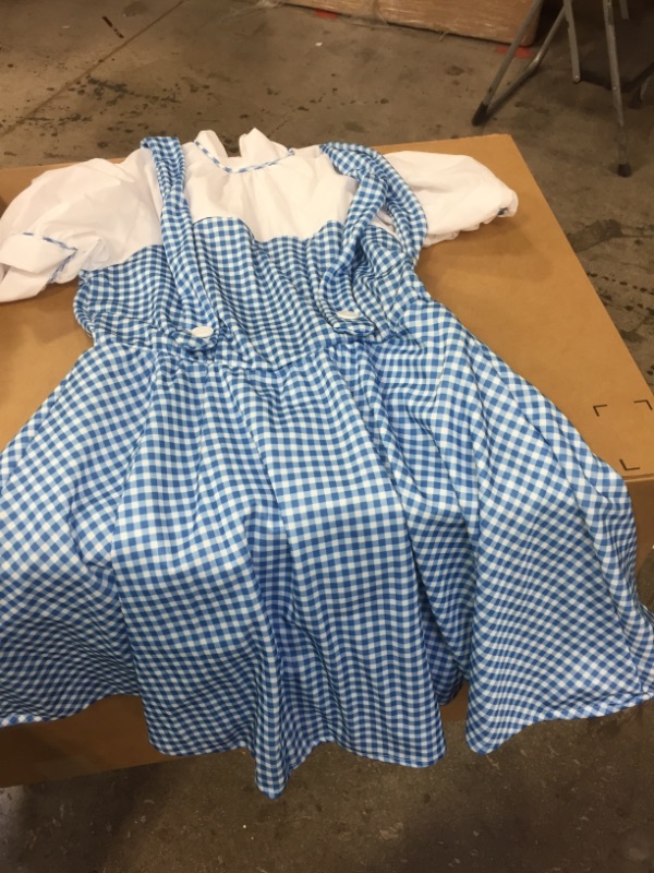 Photo 2 of Dorothy Teen Halloween Costume SIZE LARGE FOR 12 YEARS 