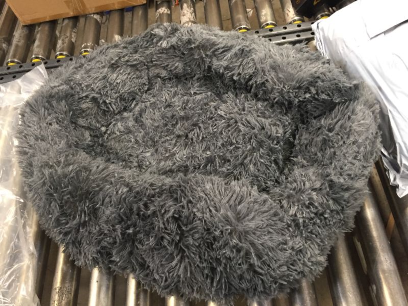 Photo 1 of Cozy Pet Beds for Small