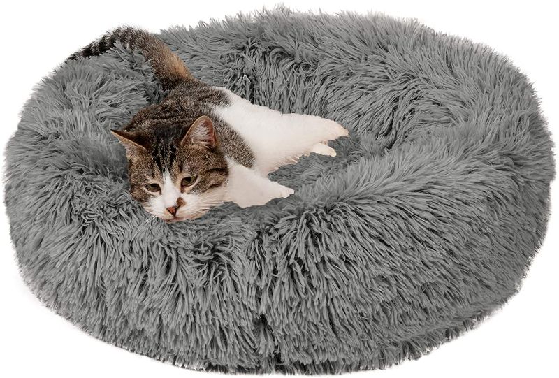 Photo 1 of Cozy Pet Beds for Small