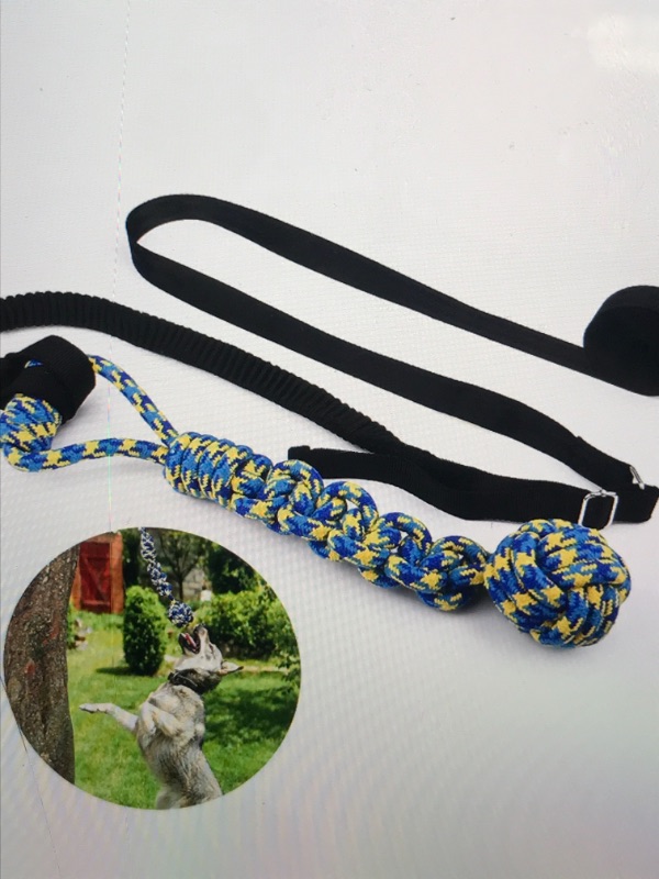Photo 1 of CLOUDBUYER DOG HANGING BUNGEE