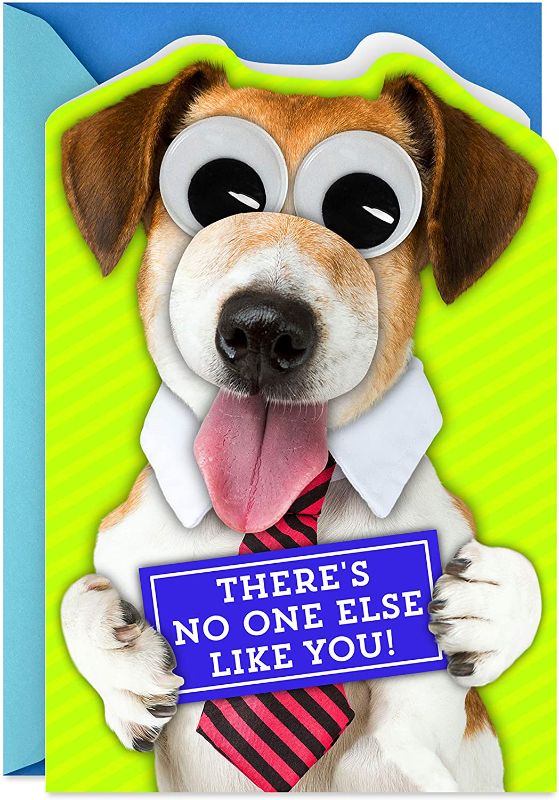 Photo 1 of 4 pack - Hallmark Cute Father's Day Card (Dog with Googly Eyes)

