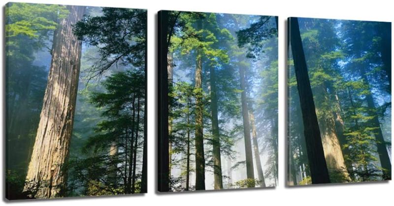 Photo 1 of 3 Piece Canvas Wall Art - Natural Green Forest with Ray of Sunlight - Modern Home Art Stretched and Framed Easy to Hang
