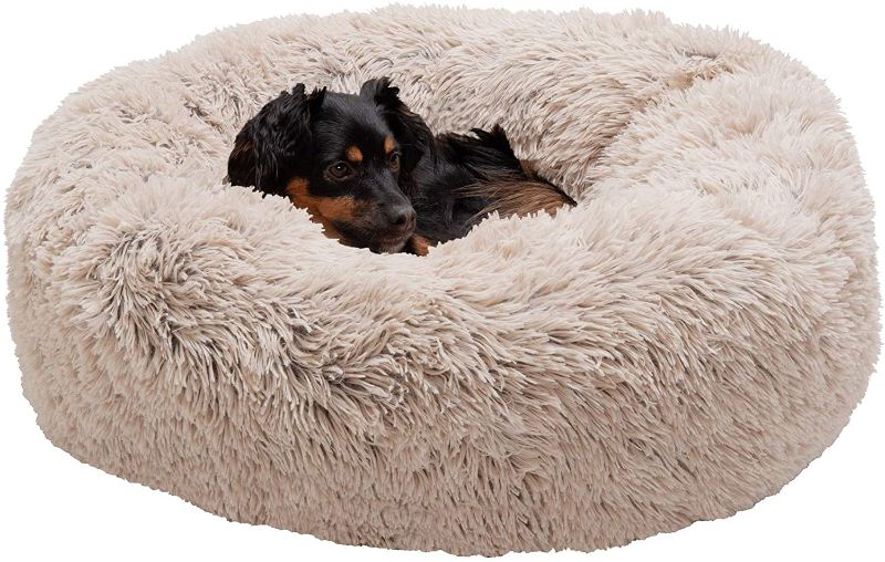 Photo 1 of Pet bed 