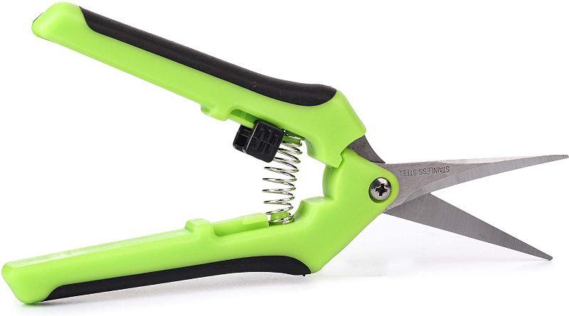 Photo 1 of 6.5 Inch Gardening Shears,Professional Pruner,Pruning Shear with Straight Stainless Steel Blades,Clippers for Plants Gardening Trimming (Green)
