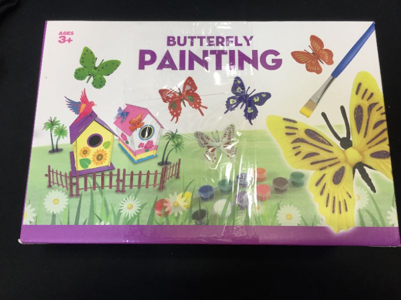 Photo 2 of Butterfly DIY Painting 