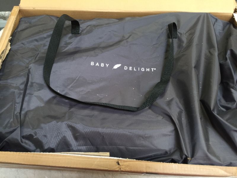 Photo 1 of Baby Delight Deluxe Portable Rocker Bouncer, Aura
