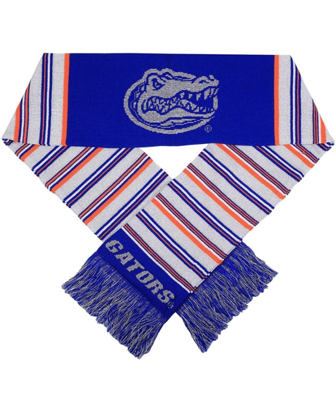 Photo 1 of FOCO NCAA Glitter Stripe Scarf