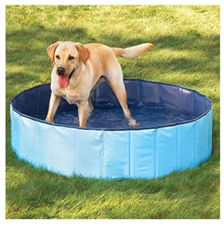 Photo 1 of  Products Foldable Dog Pool/Pet Bath/Whelping Box