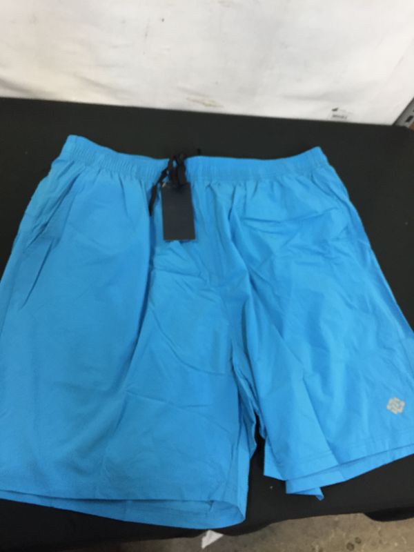 Photo 1 of MEN'S SHORTS SIZE LARGE 