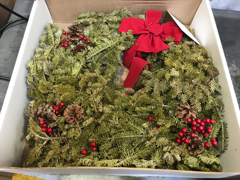 Photo 1 of all natural christmas wreath -