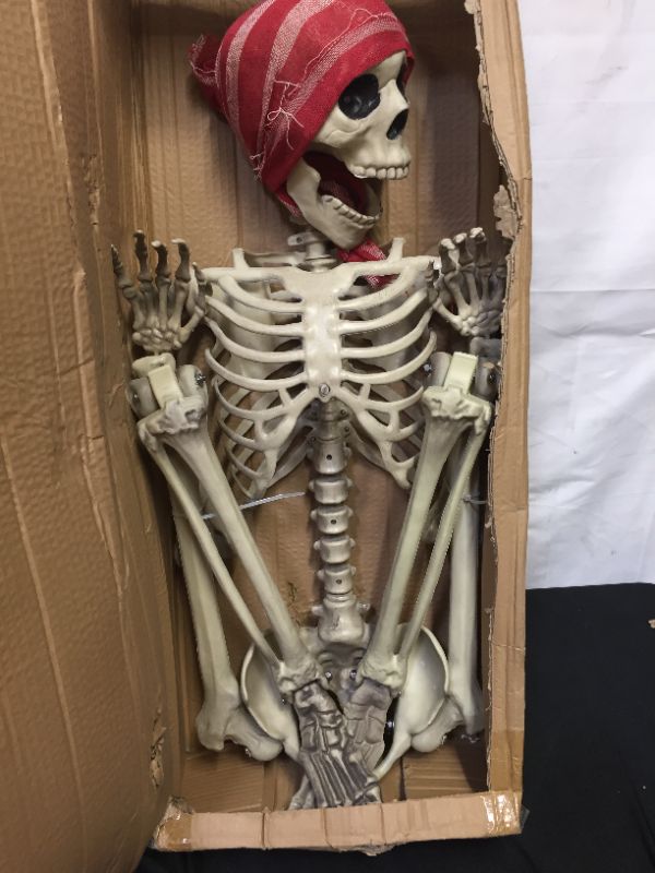 Photo 1 of 5 FT POSE AND STAY SKELETON HALLOWEEN DECOR