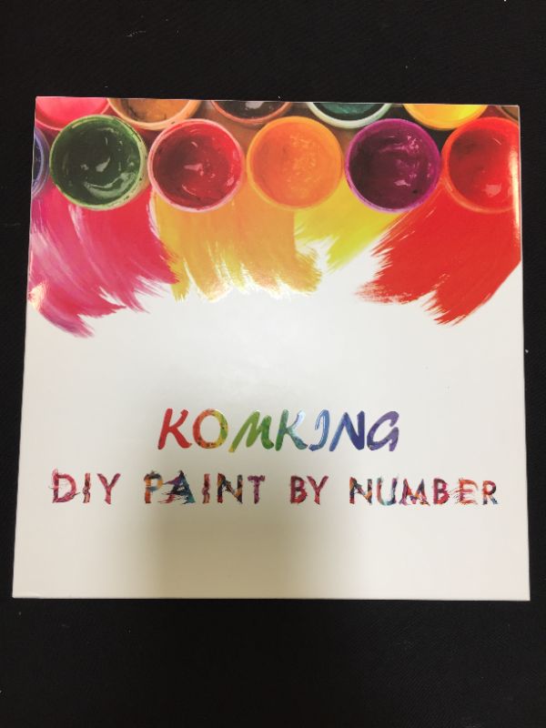 Photo 1 of komking DIY paint by number 