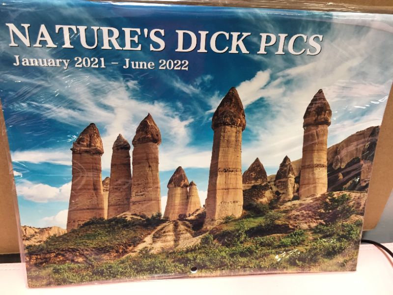 Photo 2 of 2021-2022 Wall Calendar with Nature's D'cks Pics 18 Month Calendar --20PCS