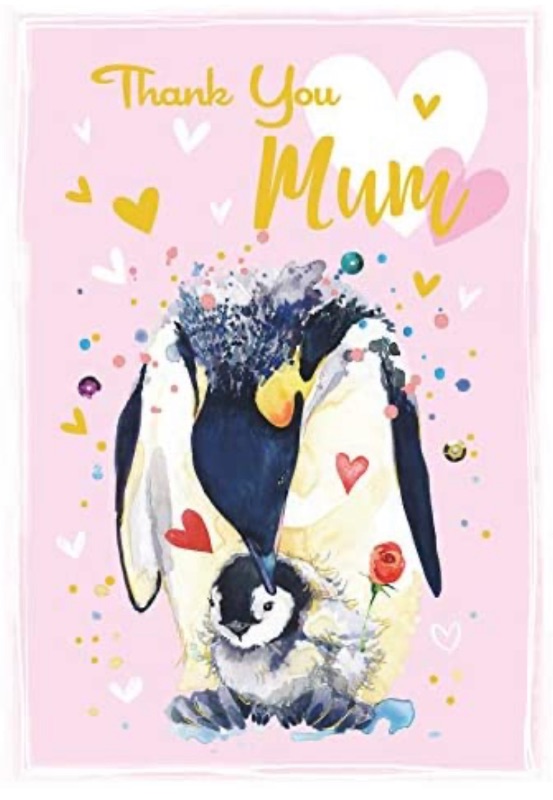 Photo 2 of Mother's Day Card SunniS Bulk with Pearl Envelope Pink Penguin Pretty Decoration Thank You Mum

NC Business Retractable Ballpoint Pens Medium Point (1.0mm) Ball Pens Black Ink (Silver-10)

Prang Hygieia Chalkboard Chalk, 3.25 x 0.375 Inch Sticks, White, 1