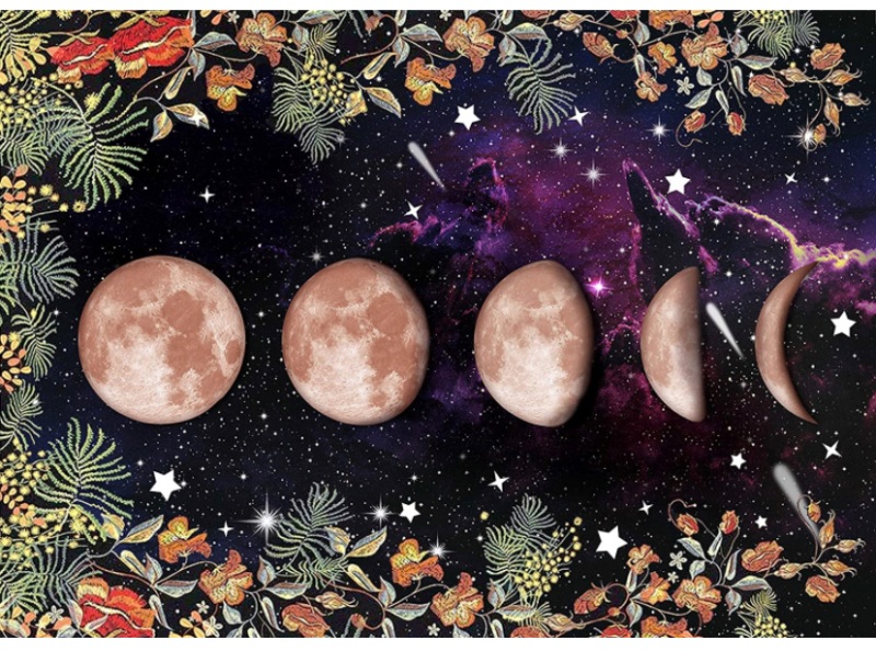 Photo 1 of Jantens Jigsaw Puzzles for Adults 1000 Piece Puzzle for Adults 1000 Pieces Puzzle 1000 Pieces - Moon Phase Garden Starry Sky 27 X 19 Inch