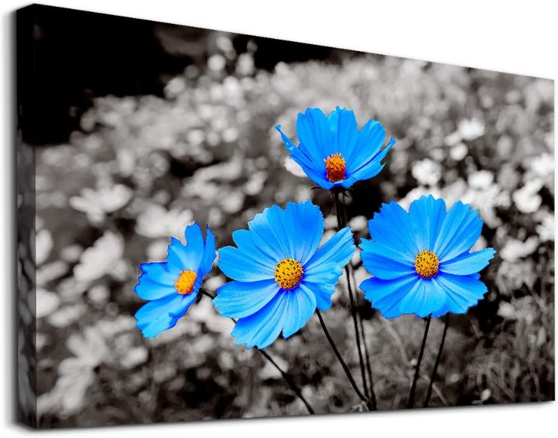 Photo 1 of Fashion Canvas Wall Art For Bedroom Family Bathroom Wall Decor For Dining Room Kitchen Framed Wall Artwork Black And White Blue Flowers Pictures Plant Painting 1 Piece Modern Office Home Decorations
