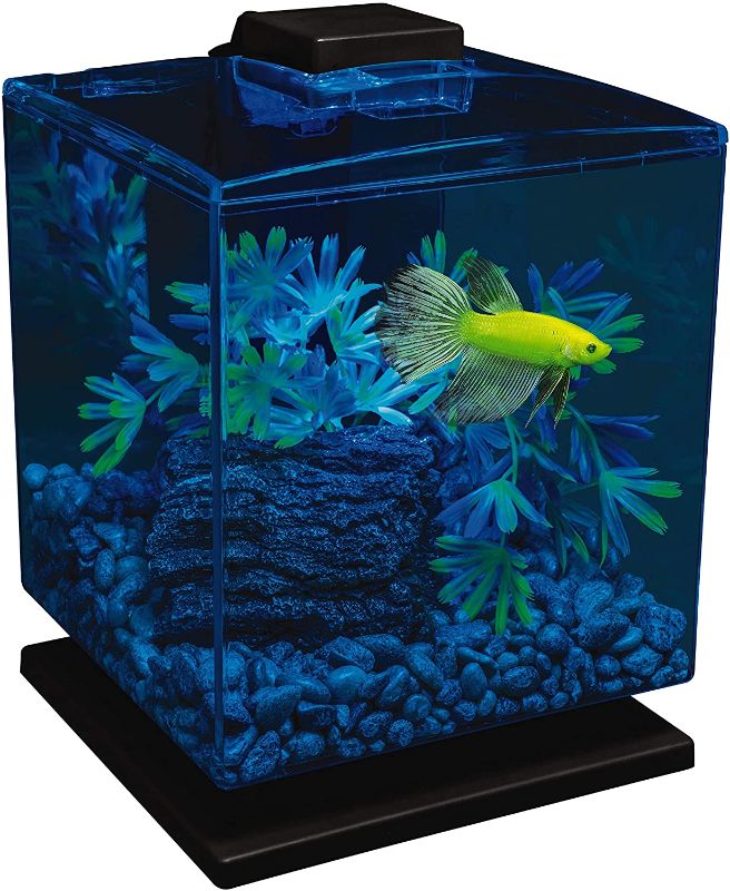 Photo 1 of GloFish Perfect Starter Tank Aquarium Kit 1.5 Gallons, 7.5 H X 8.25 W X 12.75 H
