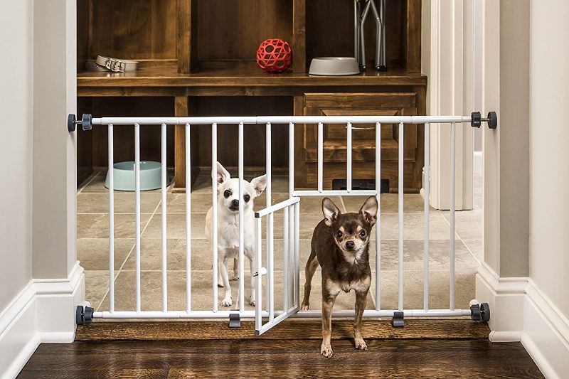 Photo 1 of Carlson Pet Products MINI Expandable Extra Wide Pet Gate with Small Pet Door (916006), White, 18-31 inches
