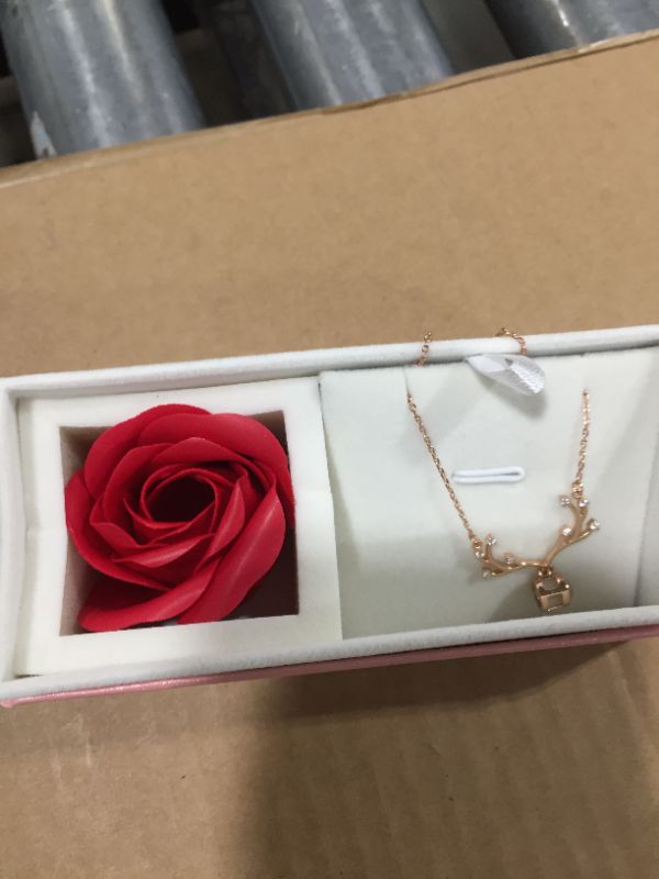 Photo 1 of  Round Pendant Light Projection Chain Necklace Poem, with Rose