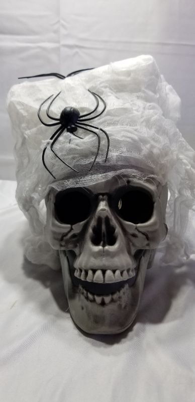 Photo 1 of 
Realistic Halloween Skeleton Skull with Glowing Eyes, Super Stretchy Spider Web for Halloween Party Favors and Halloween Props