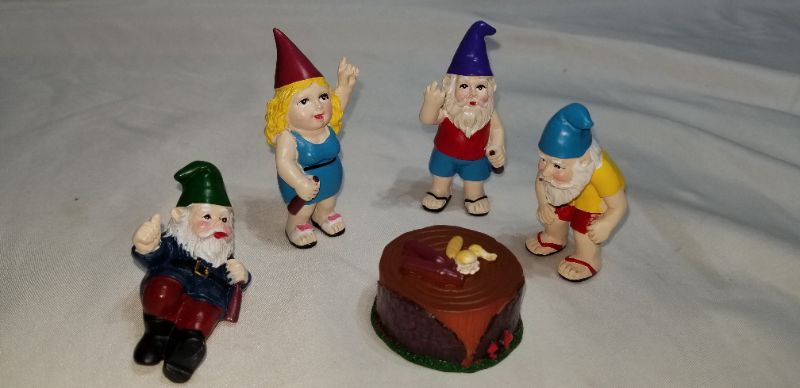 Photo 1 of (Five Piece) Mini Gnome Set