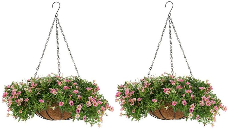 Photo 1 of 
NUPTIO 2 Pcs Hanging Planter Basket 12inch Hanging Baskets for Plants