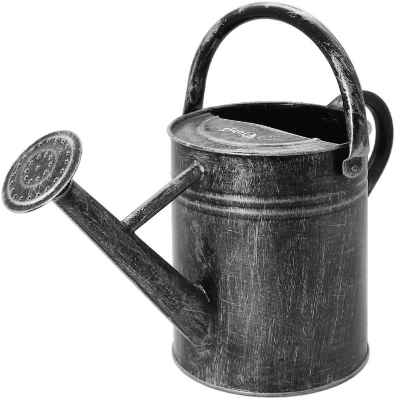 Photo 1 of 
oby5 Metal Watering Can 1 Gallon for Outdoor & Indoor Plants