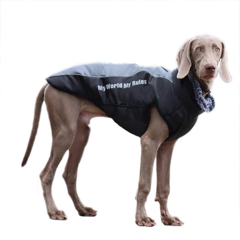 Photo 1 of Dog Down Coat Waterproof Reflective Dog Jacket Winter Warm Dog Apparel for Cold Weather Medium Big Dog Vest, Back Zipper, Adjustable Size, Detachable Leash, Gray, XL