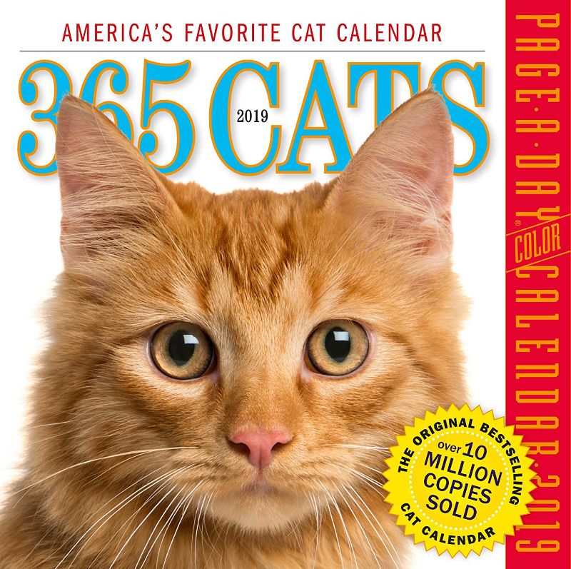 Photo 1 of 365 Cats Color Page-A-Day Desk Calendar 2019 [6" x 6" Inches]