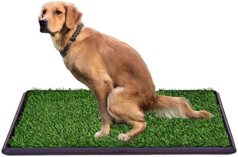 Photo 1 of 30"x20" Fake Grass Potty Pad Artificial Grass Trainer Portable Dog Turf Dog Grass Pad with Tray, 3 Layered System
