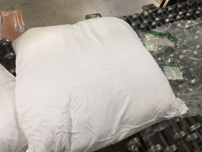 Photo 2 of 17"x17" 2 pillows 