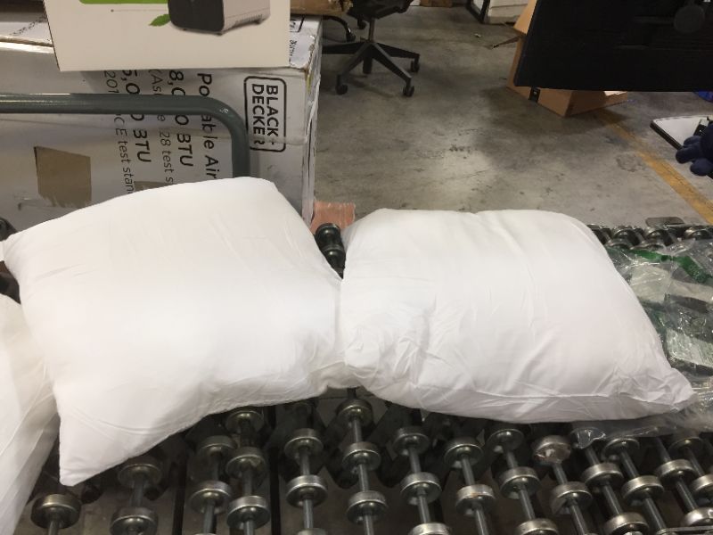 Photo 1 of 17"x17" 2 pillows 