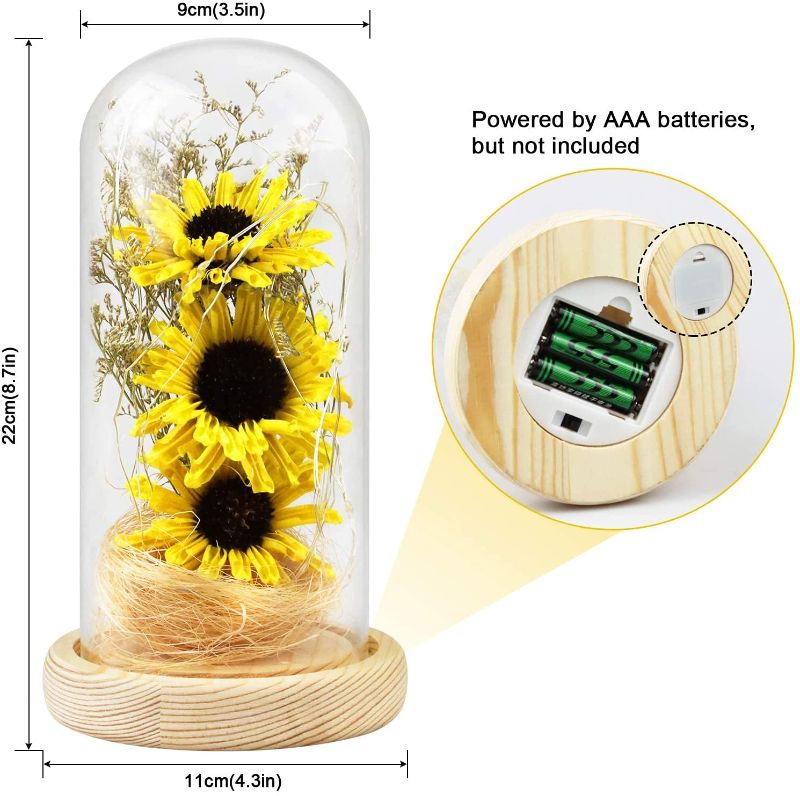 Photo 1 of  Artificial Sunflower in Glass Dome with Led Light Strip,------BATTERY OPERATED 