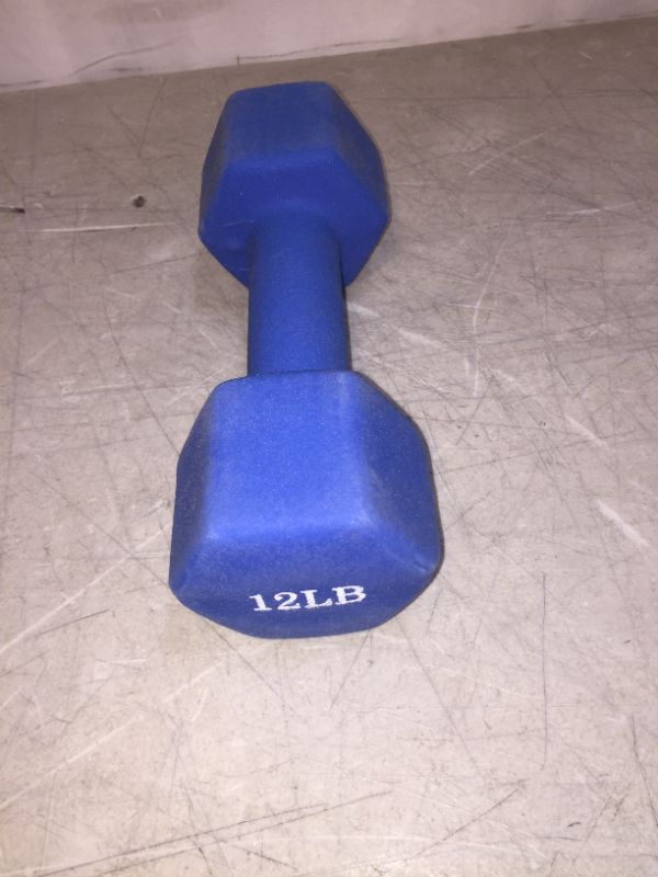 Photo 1 of 12 POUND DUMB BELL 