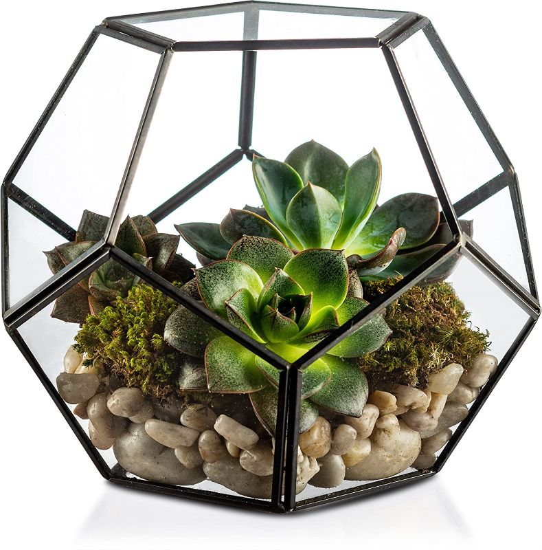 Photo 1 of  Geometric Terrarium, Elegant Design, Succulents, Votive Candle Holder