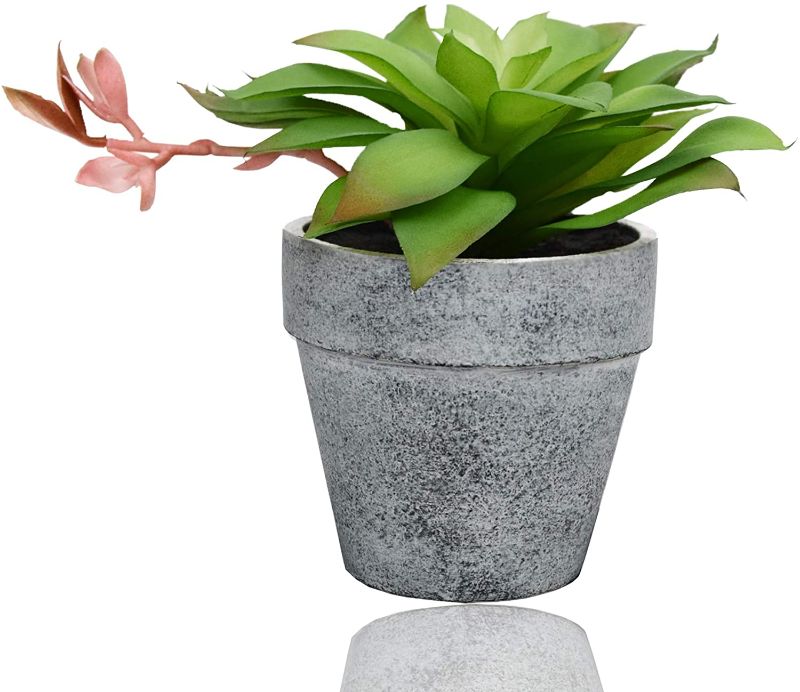 Photo 1 of 
X-Nego Potted Faux Artificial Succulent Plants, Fake Plants with Gray Faux Stone Pots for Decoration 