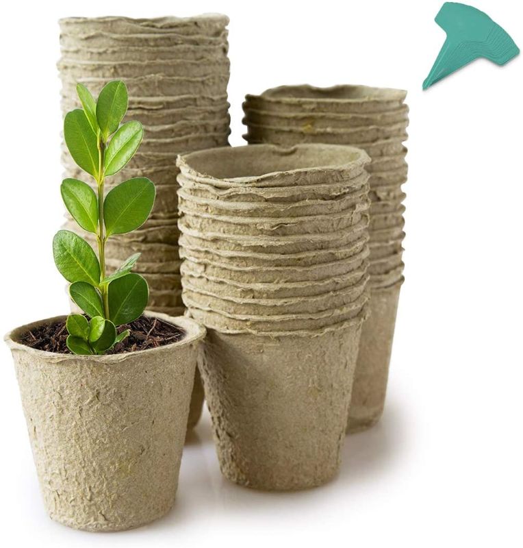 Photo 1 of  Seed Growing Pots Kit, Indoor and Outdoor, Biodegradable, for Seedlings, for Seedlings, for Plants, 30 pack