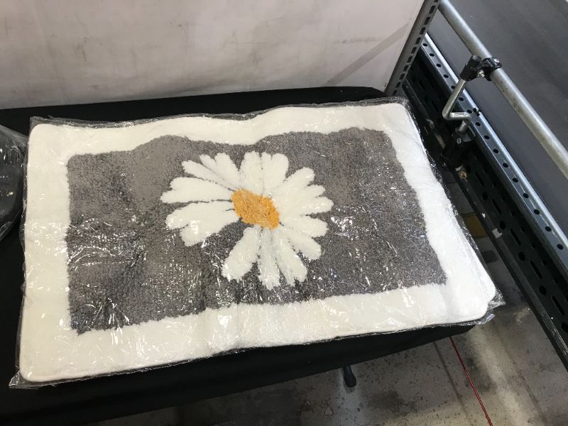 Photo 1 of generic rug 2 pack 31"x19"