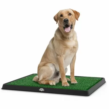 Photo 1 of  PETMAKER Puppy Potty Trainer - The Indoor Restroom for Pets 20 x 25 in