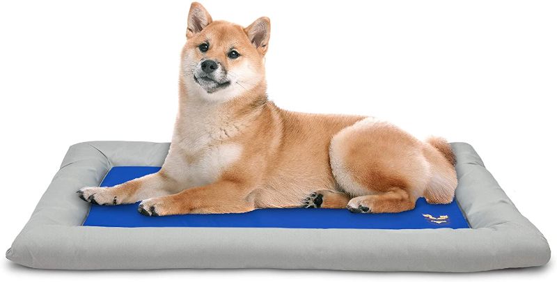 Photo 1 of Arf Pets Dog Self Cooling Bed Pet Bed – Solid Gel Based Self Cooling Mat for Pets, Includes a Foam Based Bolster Bed for Extra Comfort
