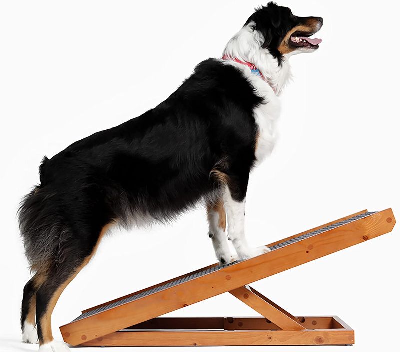 Photo 1 of AlphaPaw PawRamp Lite & Full - Adjustable Pet Ramp for Dogs and Cats - Folding Ramp for Pets with Paw Traction Mat
