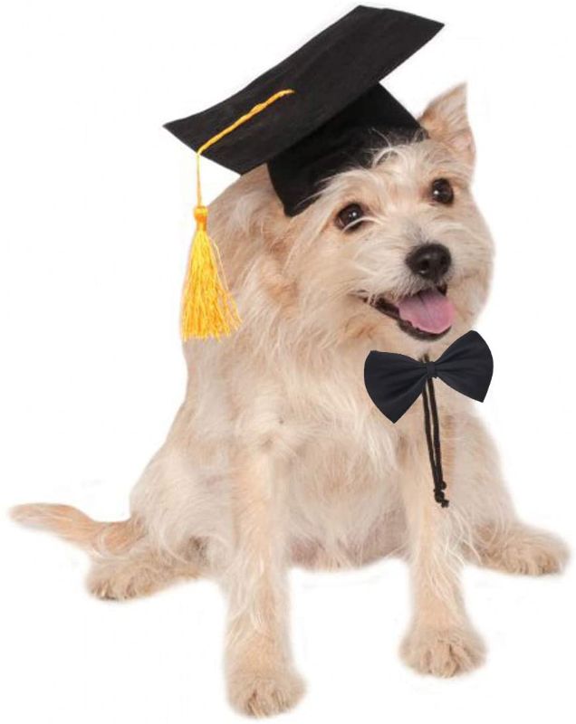 Photo 1 of Black Cute Pet Graduation Caps, Dog Cat Graduation Hats Collar Adjustable
 (2 pack)