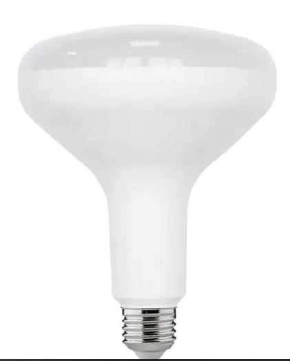 Photo 1 of 75-Watt Equivalent BR40 Dimmable ENERGY STAR LED Light Bulb Daylight 5000K (2-Pack)