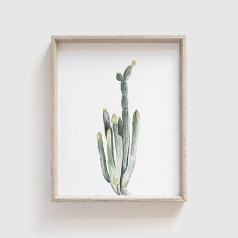 Photo 1 of SMOOTH CACTUS PICTURES - 3 PACK 16''X12''