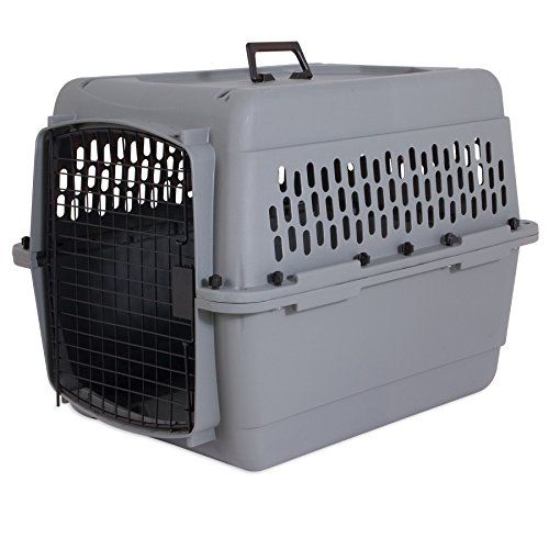 Photo 1 of Aspen Pet Traditional Dog & Cat Carrier, Light Gray, 28-in